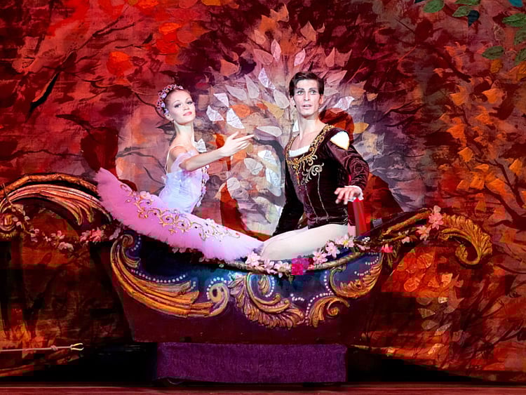 1.2289639-2784325615