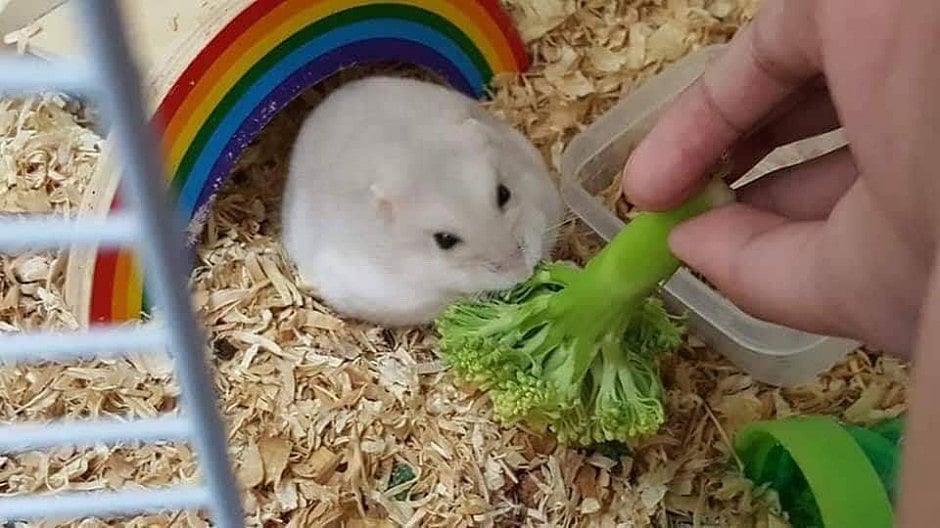 1.2291316-1299514137