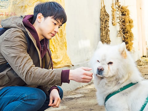 Korea’s Busan film festival reels in the stars