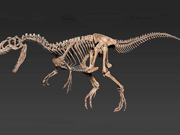 1.2291736-3655806653