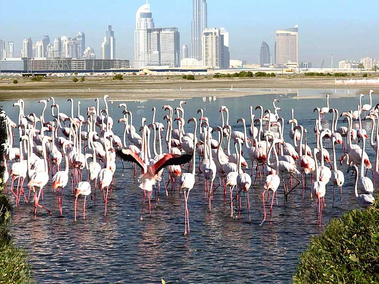 1.2291869-1799976912