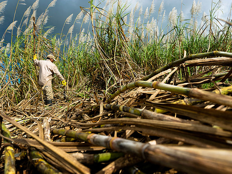 1.2292402-3570623731