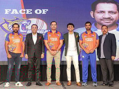 Picture: Bengal Tigers