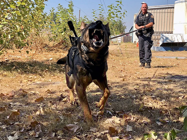 1.2293089-2835714696