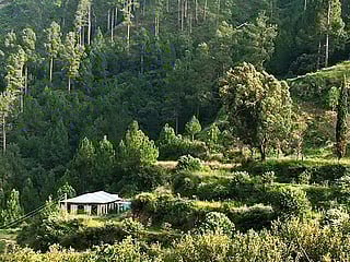 A green awakening in Pakistan