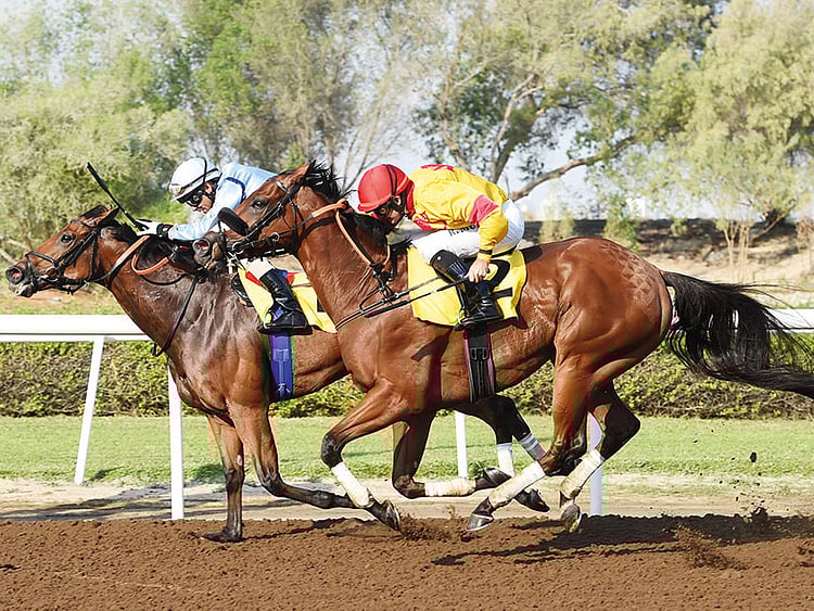 1.2294144-3266236814