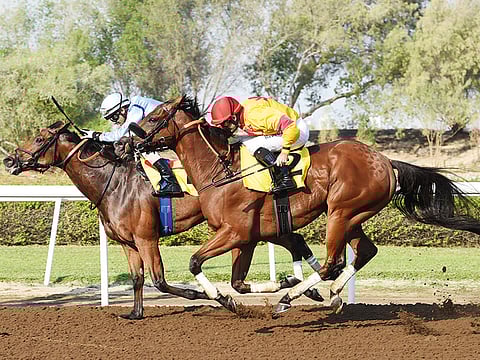 Antonin Kallouche/ Gulf News