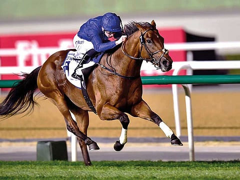 Benbatl, trained by Saeed Bin Surour for Godolphin, ran a big race to finish second to Australia champion mare Winx, who won a record fourth straight Cox Plate (Group 1).