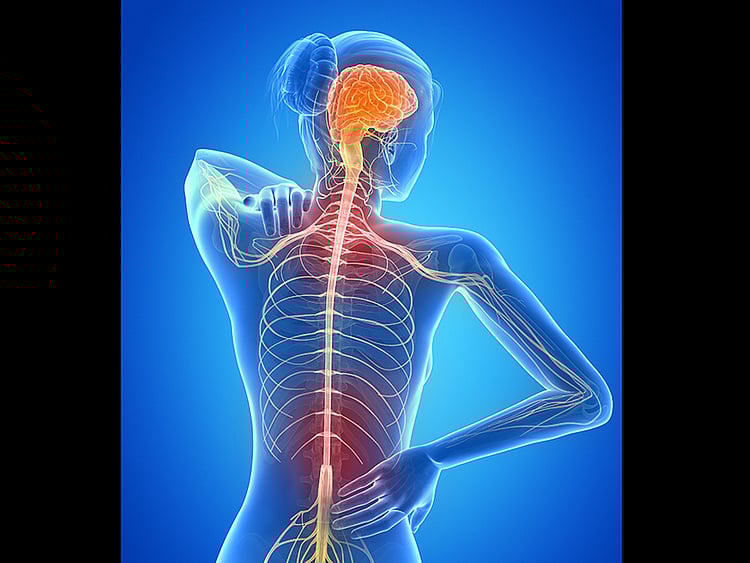 1.2294709-1056643962