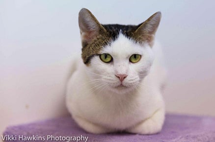 1.2295400-3304010827