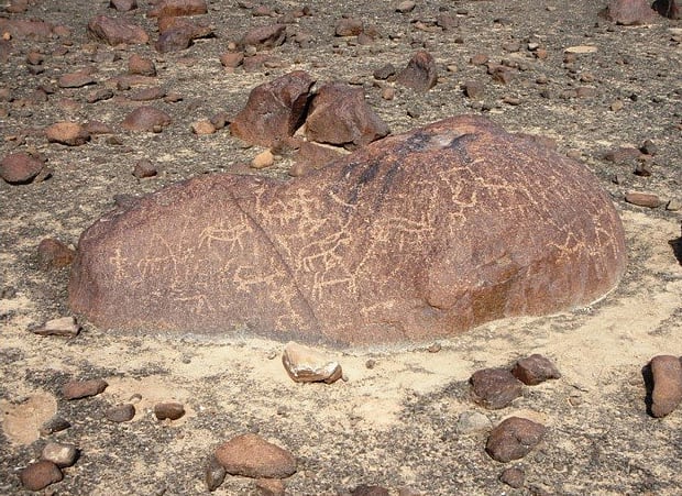 1.2286756-1624599739