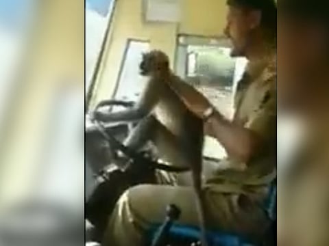 Twitter/@ANI
