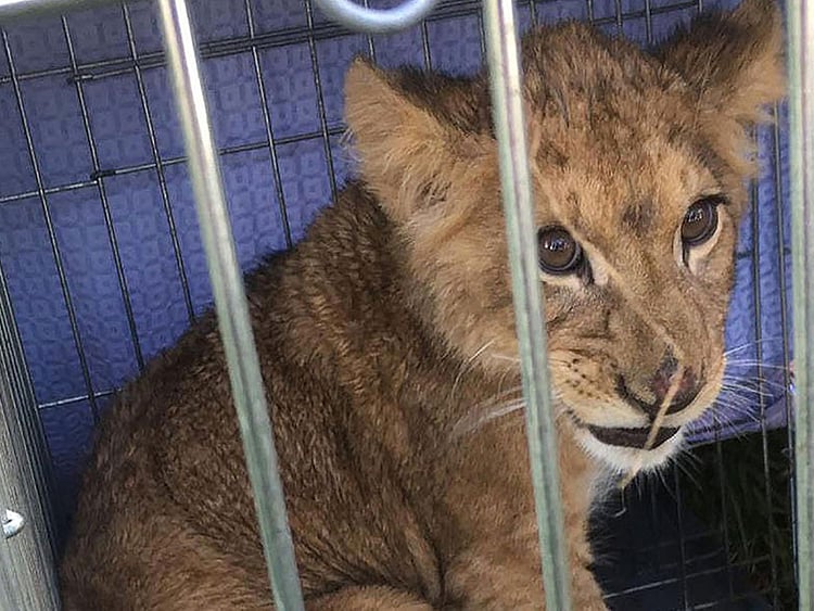 1.2287252-1718299311