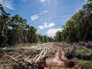 UN warns paradigm shift needed to avert global climate chaos