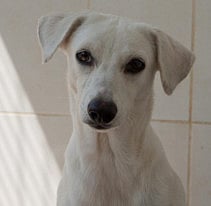 1.2287796-3521563662