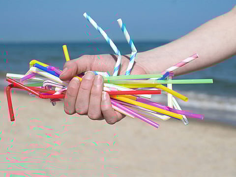 Plastic waste has risen up the agenda among government, consumers and brands over the past year.