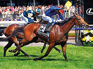 Dream victory for Godolphin in Melbourne Cup