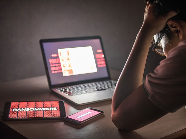 The 2017 Norton Cyber Security Insights Report 5