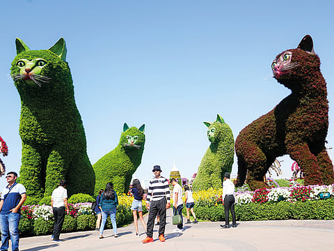 Visitors at the Dubai Miracle Garden.  
