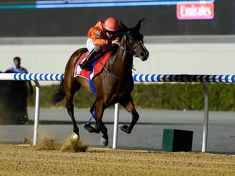 1.2296748-2562532030