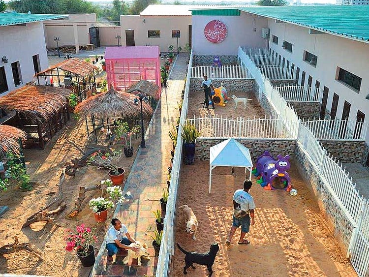 1.2296462-4161949782