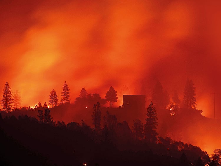 FTC-CALIF-WILDFIRE55-(Read-Only)