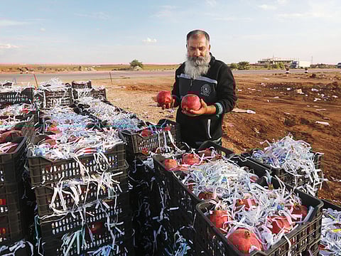 Syrian vendor Abu Ala’a waits for Jordanian customers to sell them pomegranates at the recently reopened Naseeb border post in Daraa province on the Syrian-Jordanian border.