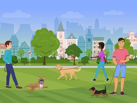 UAE resident discusses how much dogs add to a person's life 