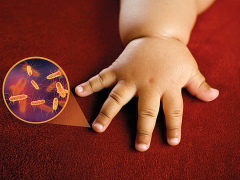 Exposure to disinfectants used at home could be making children overweight by altering their gut microbiota, a new study suggests. However, the same association with detergents was not found.