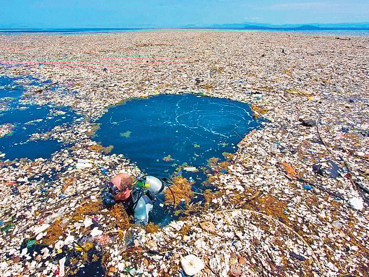 TOD-PACOFIC-GARBAGE-32-(Read-Only)