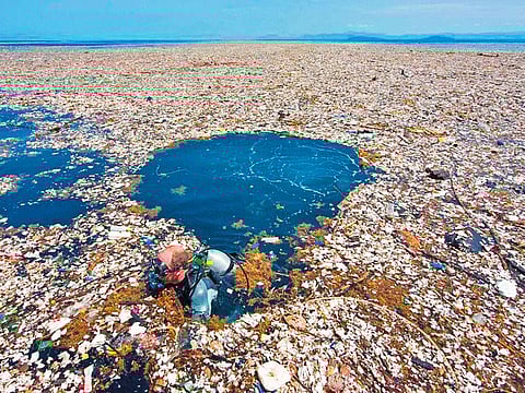 The Pacific Garbage Patch, which is one of the world’s biggest environmental dangers. Scientists are worried that the plastic garbage is becoming a conveyor belt for species that could become invasive in their new homes, wiping out other forms of life.