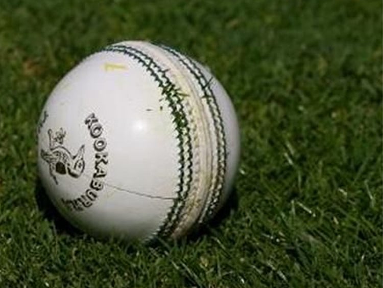 White cricket ball
