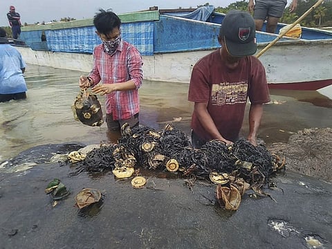 Researchers remove plastic waste from the stomach of a beached whale at Wakatobi National Park in Southeast Sulawesi, Indonesia. 