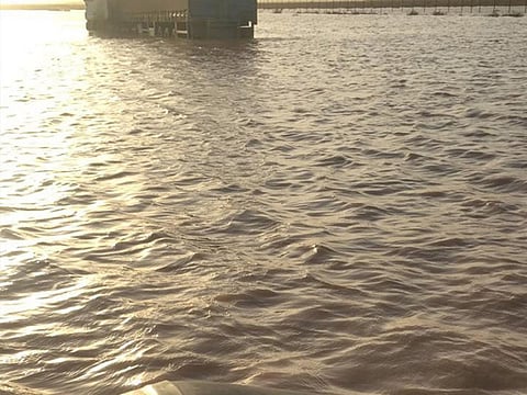 Torrential rains and high winds have hit Saudi Arabia in recent days.