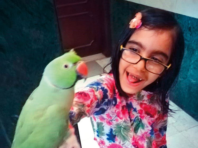 NAT_181129-SHEBA-FATIMA4_SCH-(Read-Only)