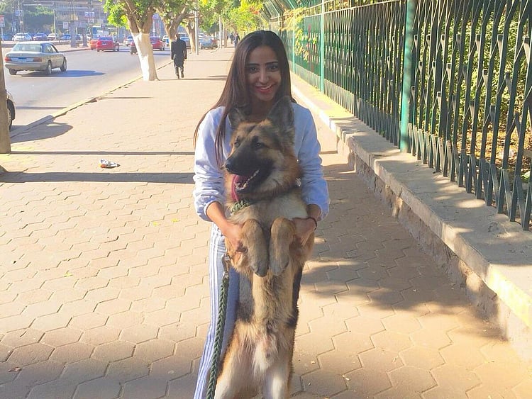 REG 181125 CAIRO Dog