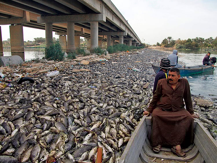 1.2297033-3433191863