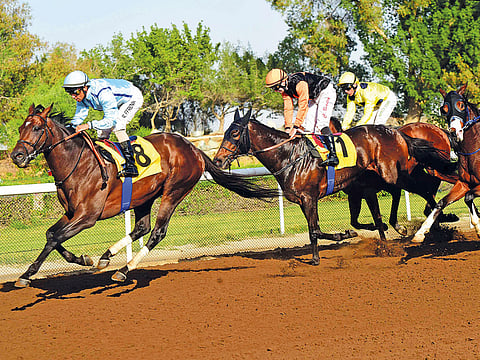 Racing will return soon to Jebel Ali.