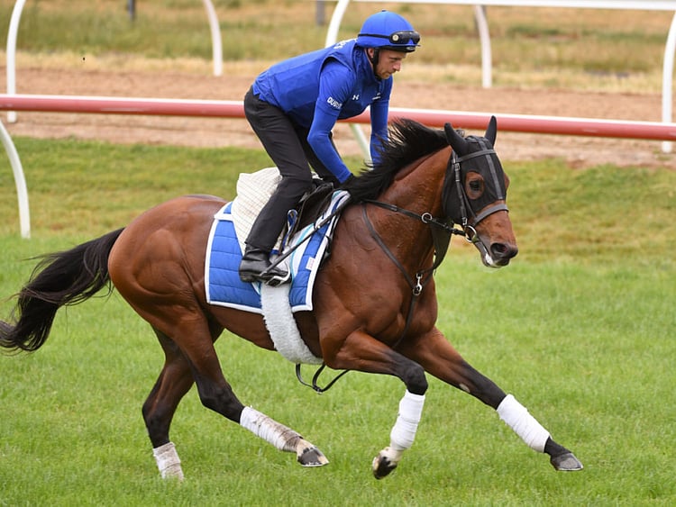 1.2298212-2133150945