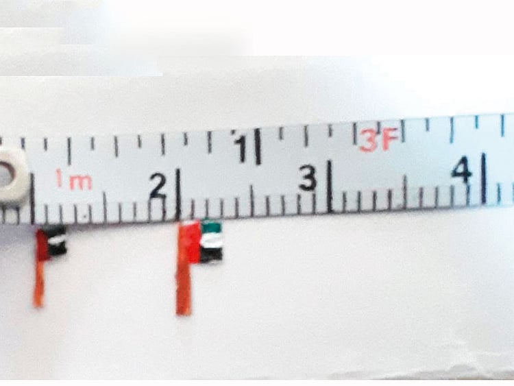 smallest UAE flag