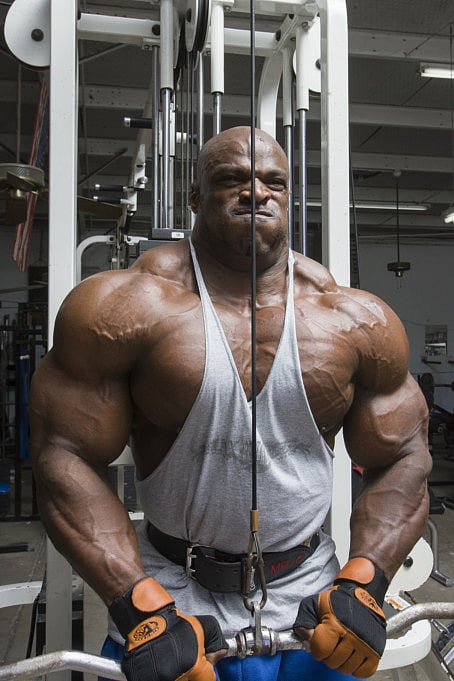 Dubai Muscle and Active Show: What you need to know