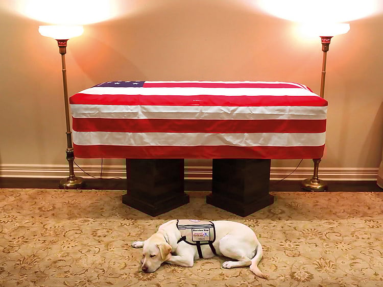 FTC-BUSH-PIC13-DOG-(Read-Only)