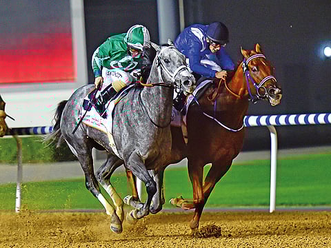 Drafted (left) ridden by jockey Sam Hitchcott and trained by Doug Watson on way to win the Al Garhoud Sprint at Meydan Racecourse.