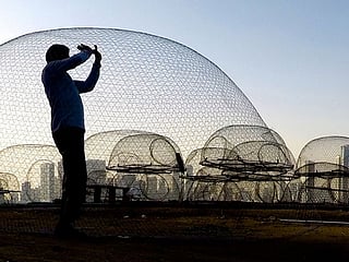 UAE pictures of the day: December 10, 2018