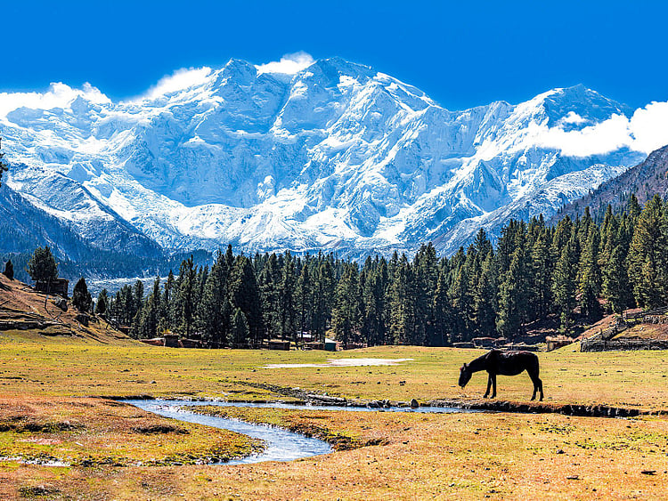 RDS_181211 Pakistan's mountains 1
