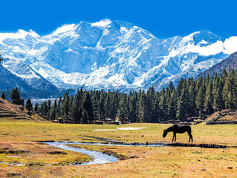 Pakistan plans to develop 20 new tourist destinations. 