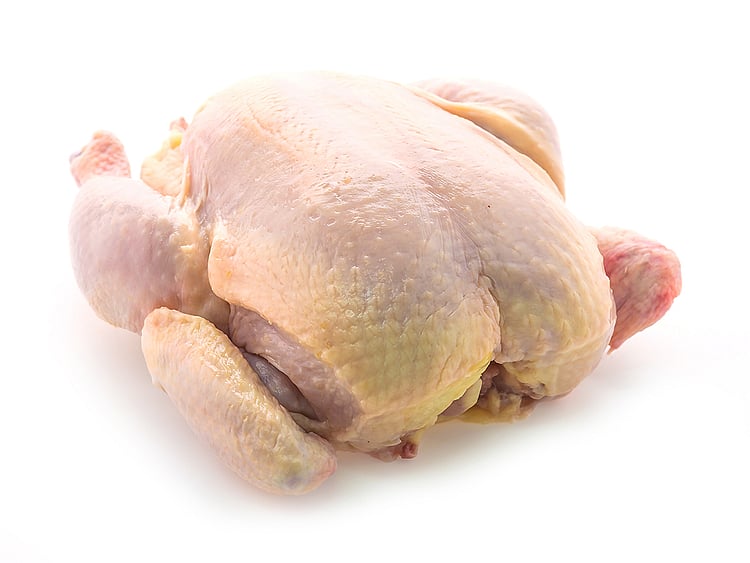Chicken