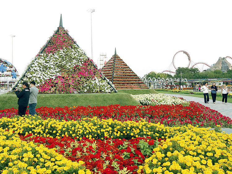 OPN_181213-garden_P1-(Read-Only)