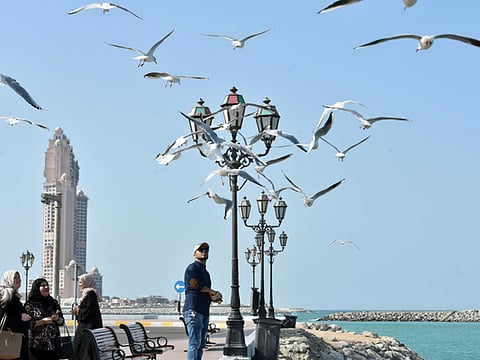 Chilly weather conditions swept over most part of the UAE with a noticeable dip in mercury compared to previous weeks.