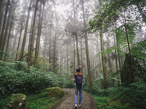 Every action we take impacts the environment. Being eco-friendly on your next trek can help minimise your carbon footprint